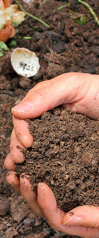 齊惜福通訊 illustration